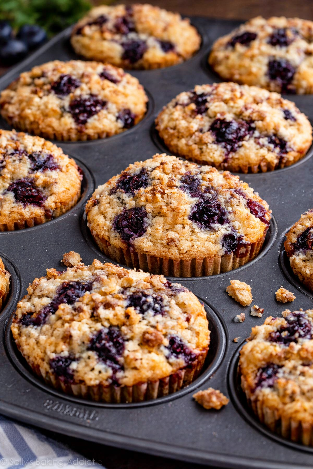 Blueberry Walnut Muffins in a muffin tin