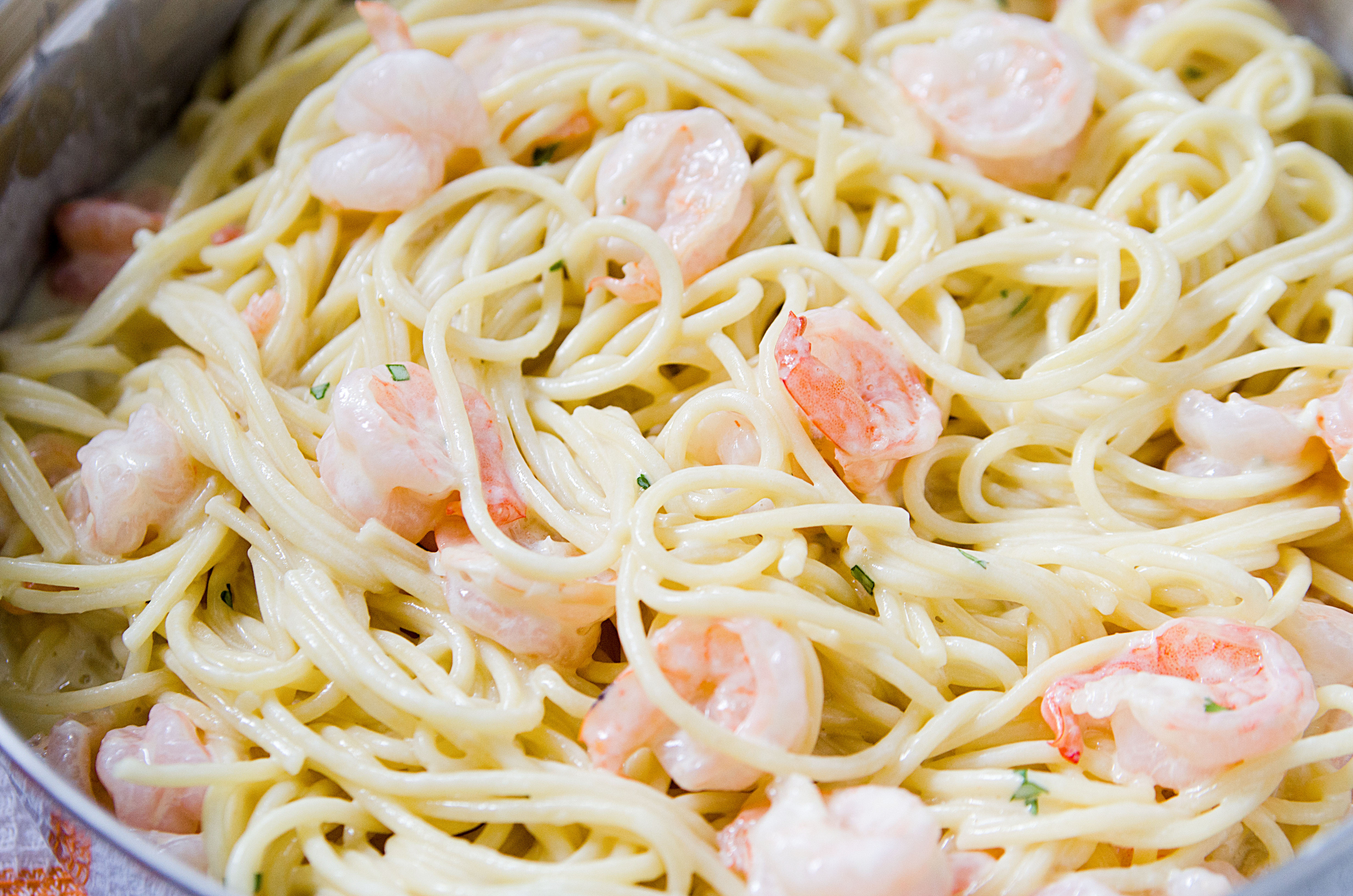 Four Cheese Garlic Shrimp Pasta!