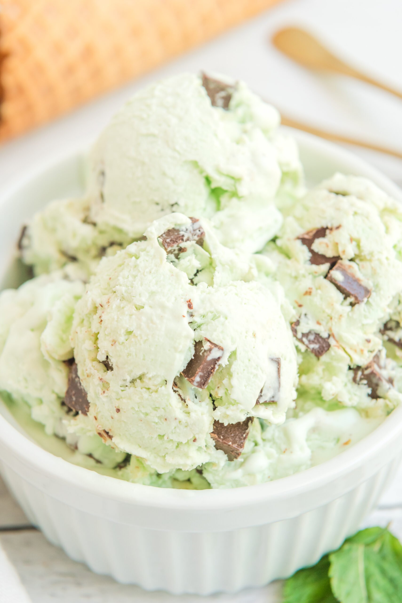 Close up view of scoops of Mint Chocolate Chip Ice Cream in a white bowl.