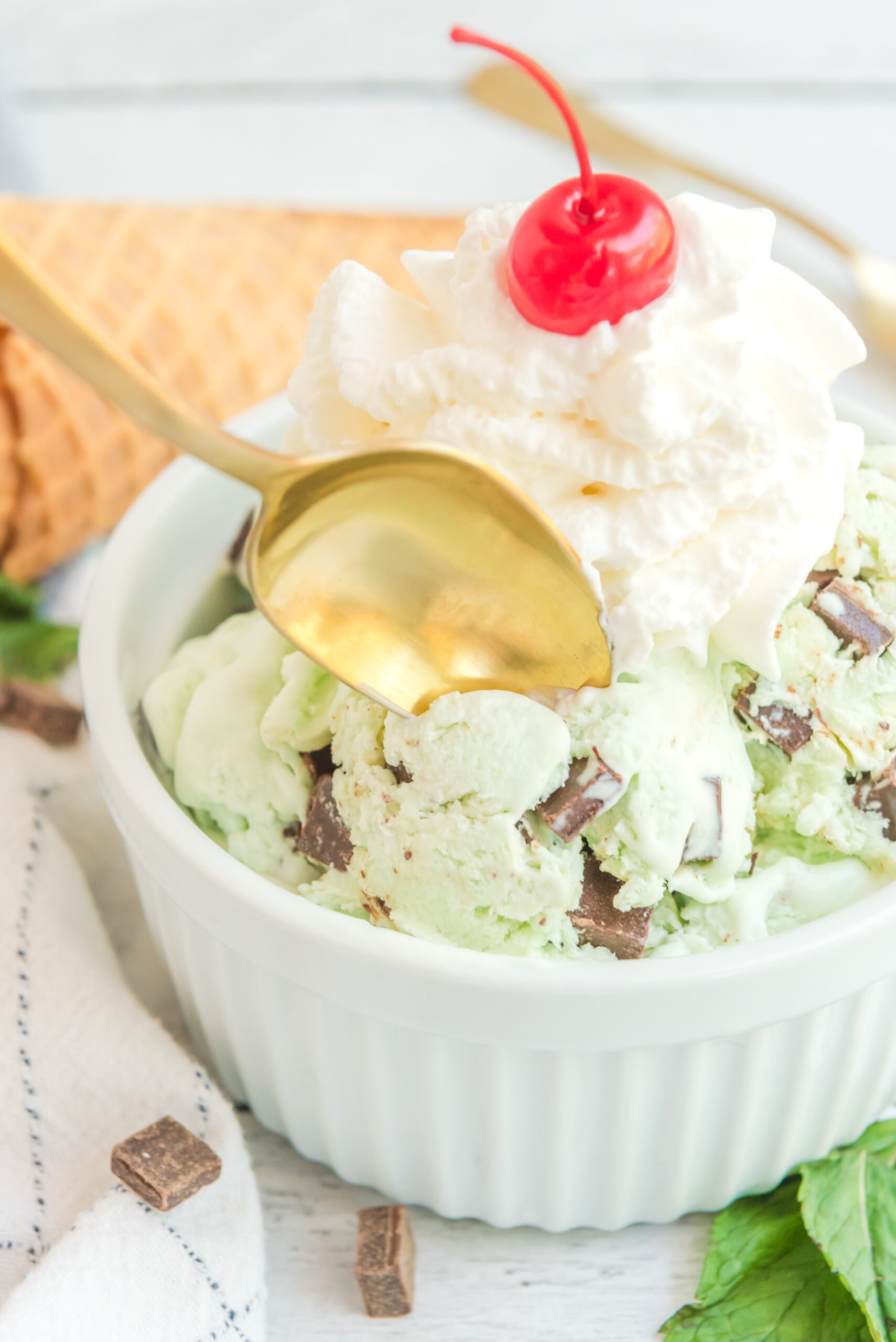 Mint Chocolate Chip Ice Cream in a white bowl topped with a cherry and whipped cream