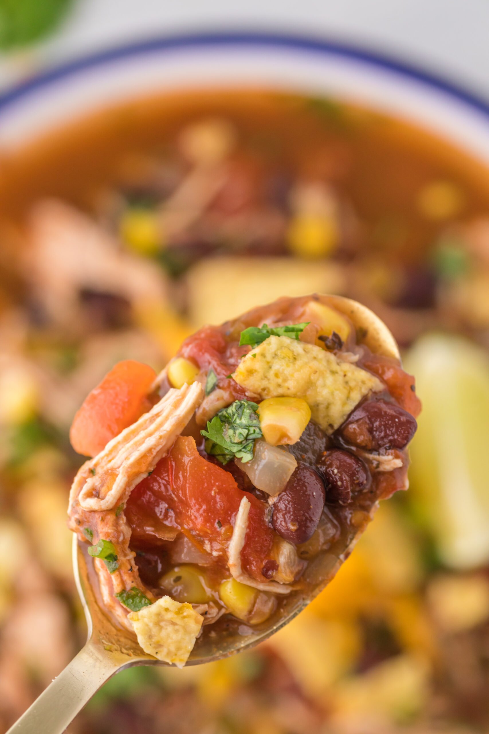 Close up view of a spoonful of Chicken Taco Soup in a gold spoon.