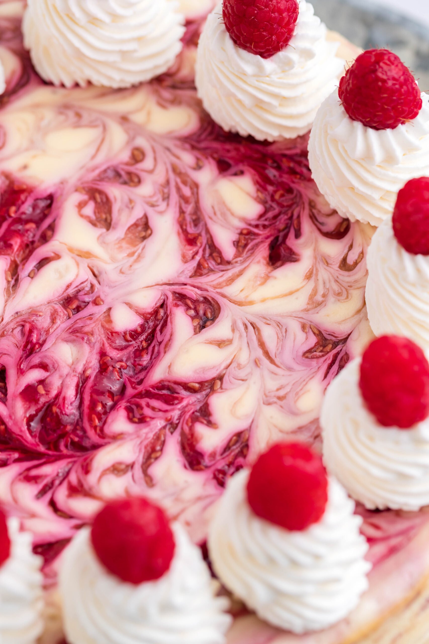 Close up view of Raspberry Swirl Cheesecake.