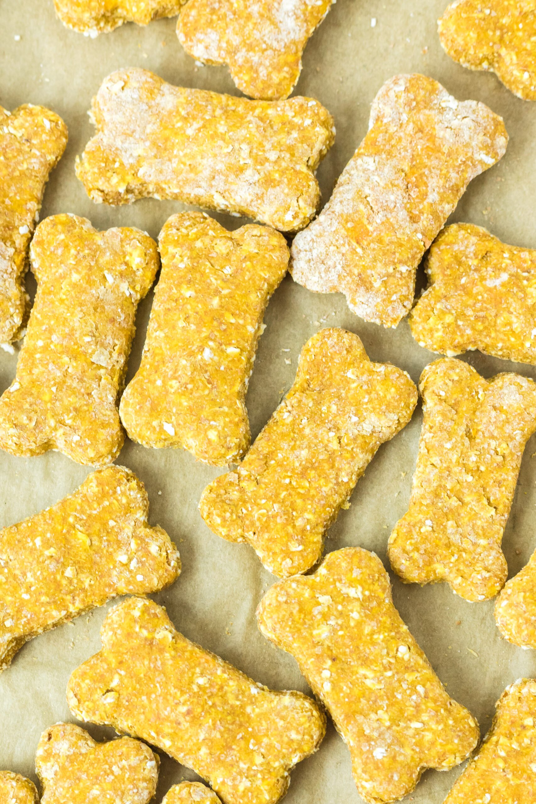 Overhead view of Sweet Potato and Pumpkin Dog Treats on a piece of parchment paper.