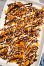 Turtle Lush Turtle Lush - My Incredible Recipes