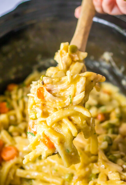 Crock Pot Chicken and Noodles - My Incredible Recipes