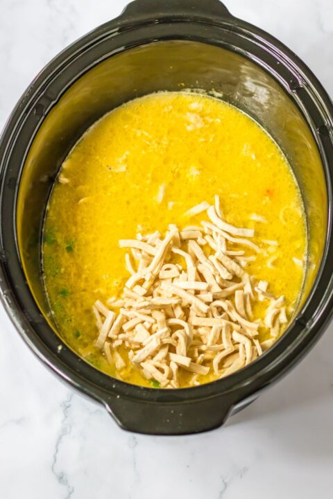 Crock Pot Chicken and Noodles - My Incredible Recipes