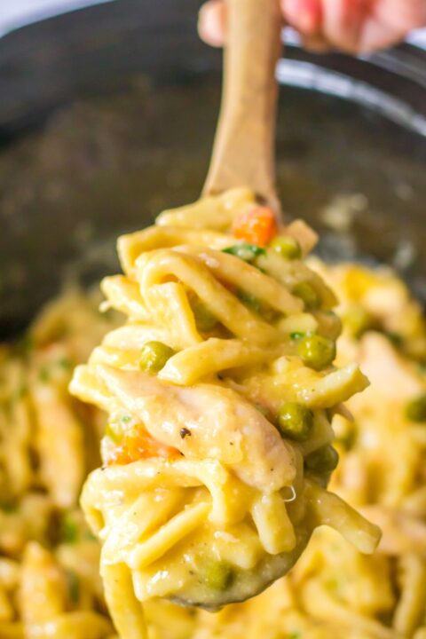 Crock Pot Chicken and Noodles - My Incredible Recipes