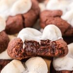 Hot Chocolate Cookies with a bite taken out of it