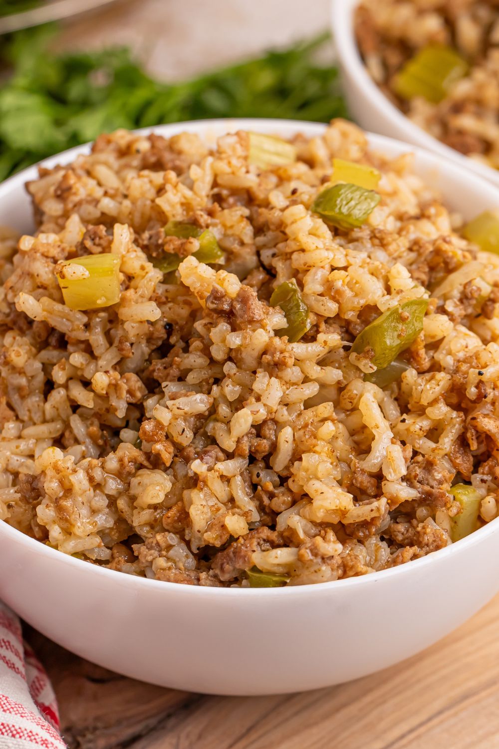 Dirty Rice in a bowl with close up look 