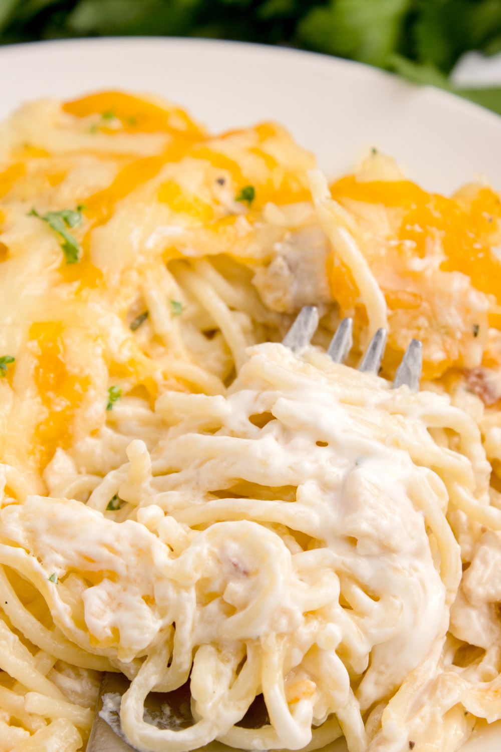 chicken tetrazzini casserole dished up on a plate with a fork full on a plate