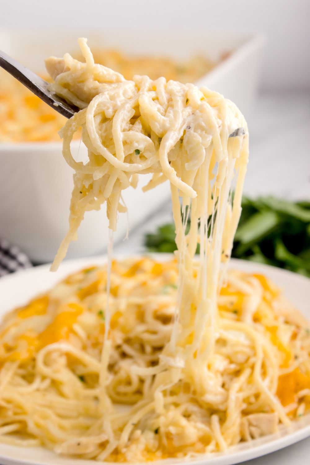 Chicken Tetrazzini on a plate being lifted up with a fork 
