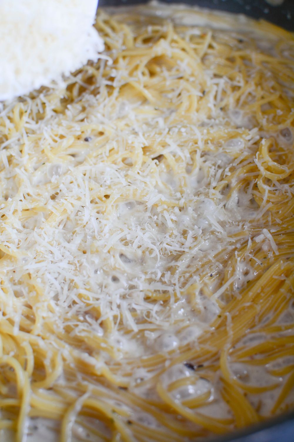 Garlic Parmesan Pasta in a pan topped with grated parmesan on top 