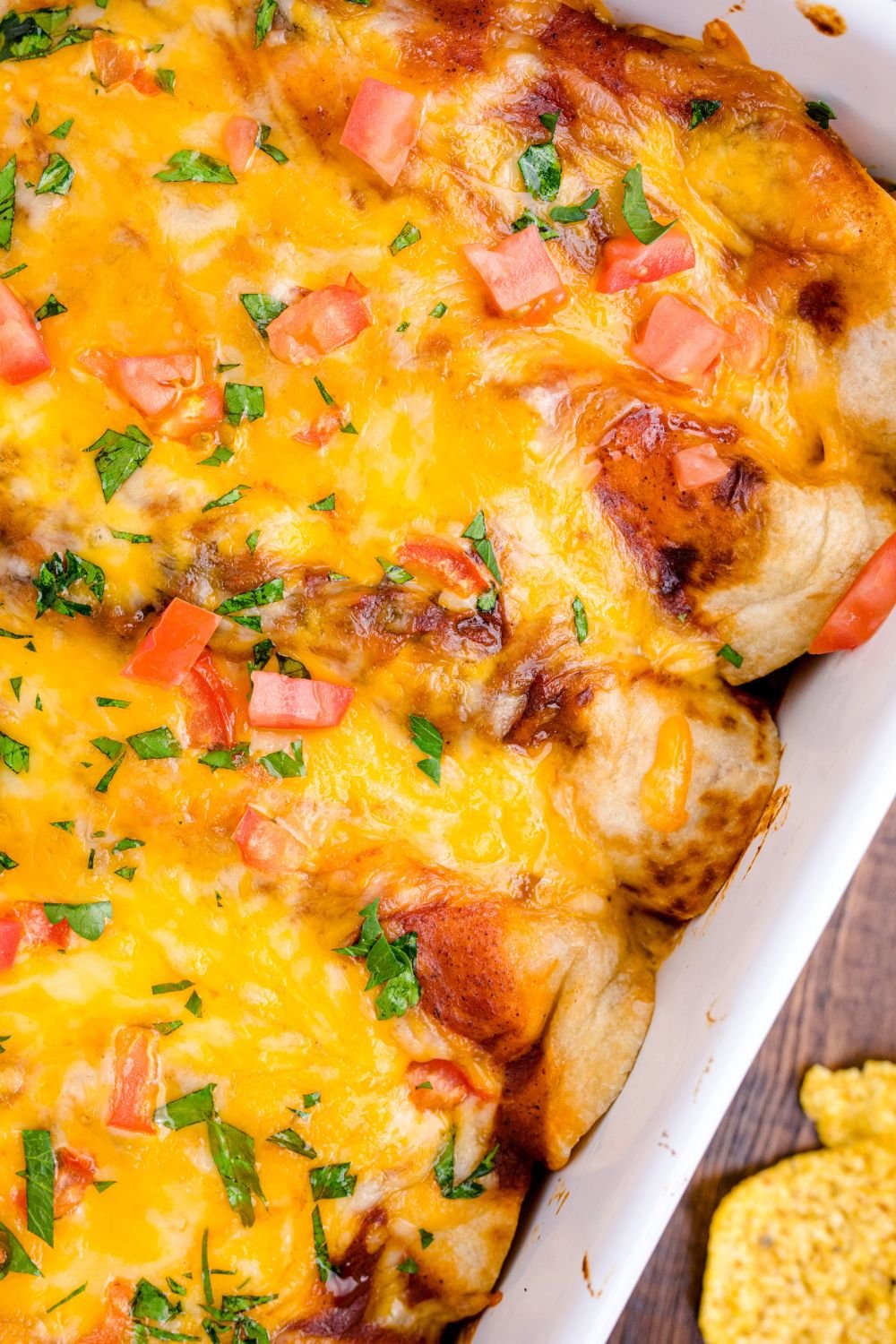 Cheesy Chicken Enchiladas topped with cilantro and diced tomatoes in casserole dish 