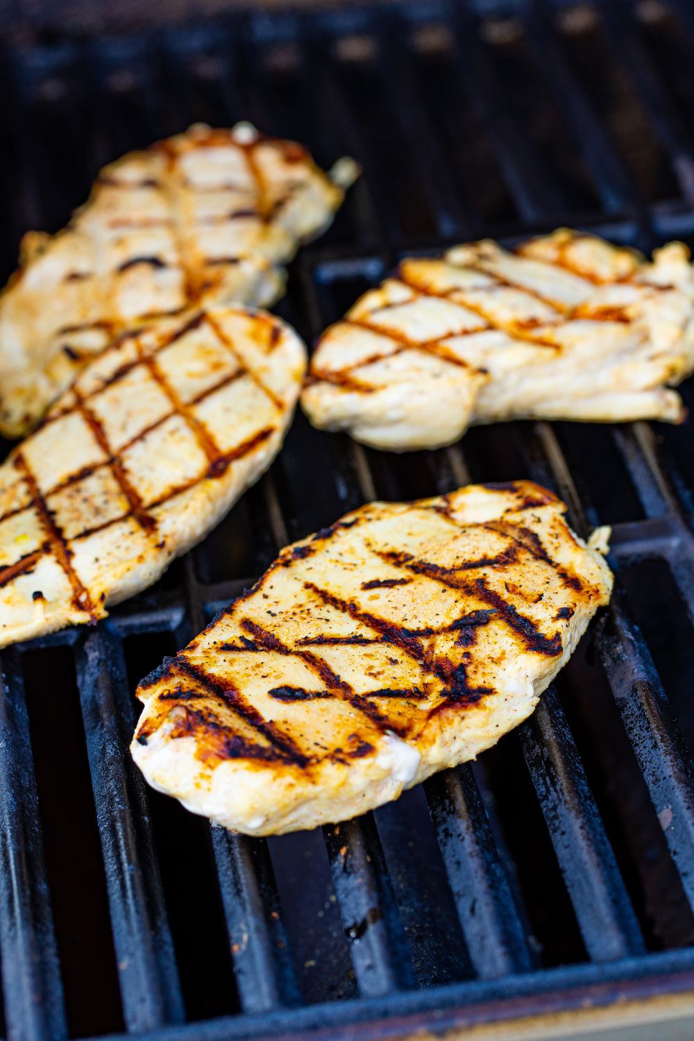 grilled chicken on a grill 