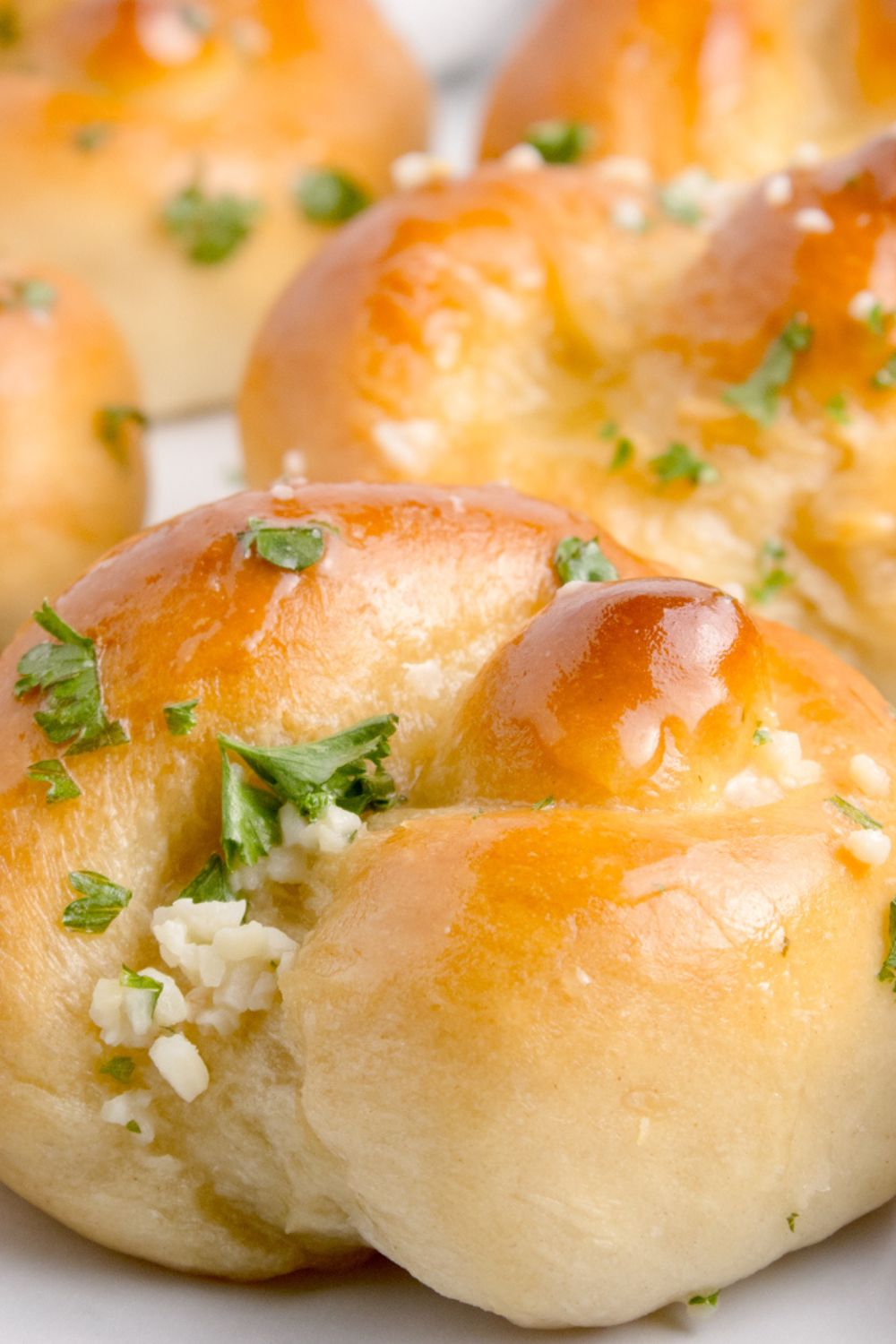 Homemade Garlic Knots on table with a close up view of the garlic and parsley on top of each roll