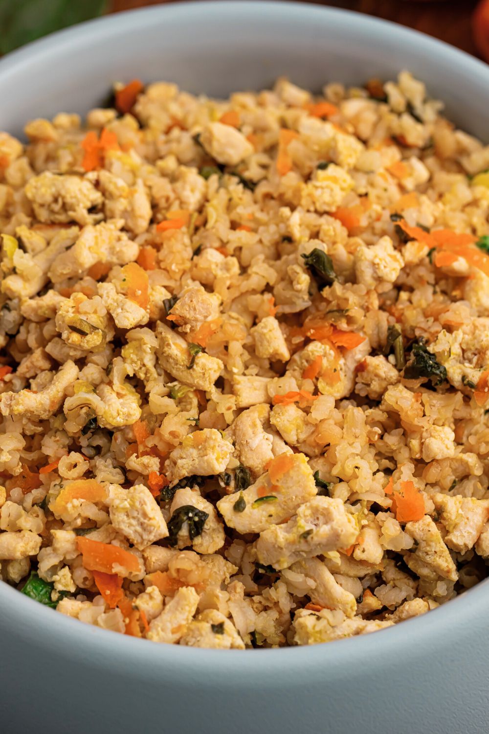 side view of Homemade Turkey and Rice Dog Food with Veggies in a dog bowl 