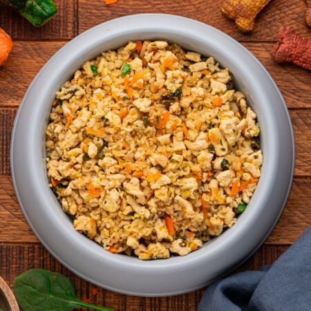 Homemade Turkey and Rice Dog Food with Veggies in a dog food bowl on table