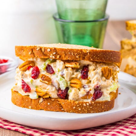 Turkey salad sandwich with cranberries, pecans, and celery on whole grain bread