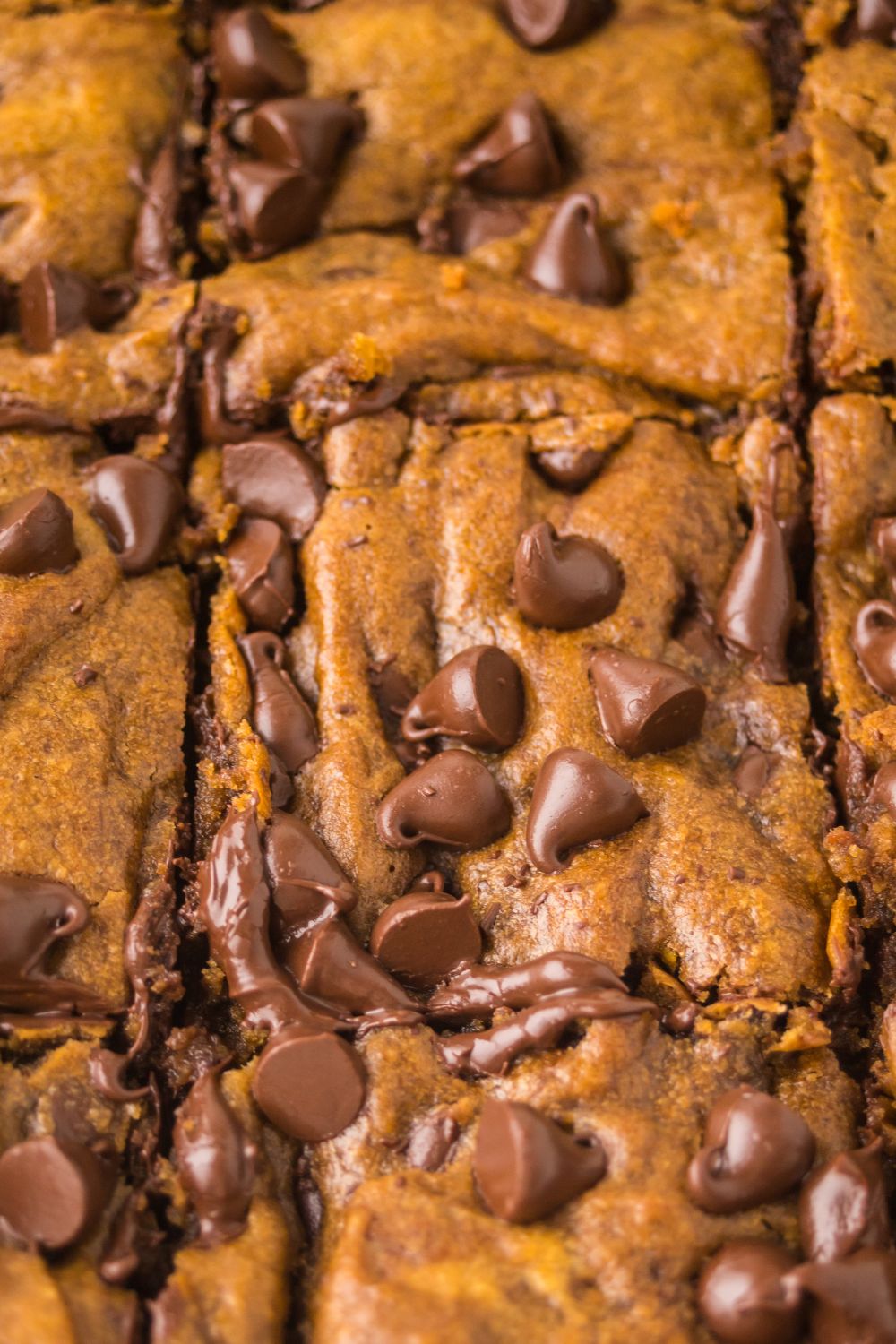 Brown Butter Pumpkin Chocolate Chip Bars in a pan cut into squares 