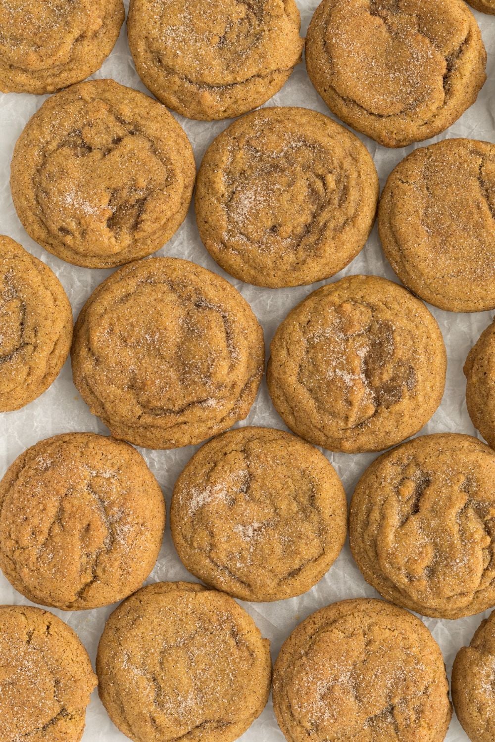 Pumpkin Snickerdoodle Cookies scattered on table 