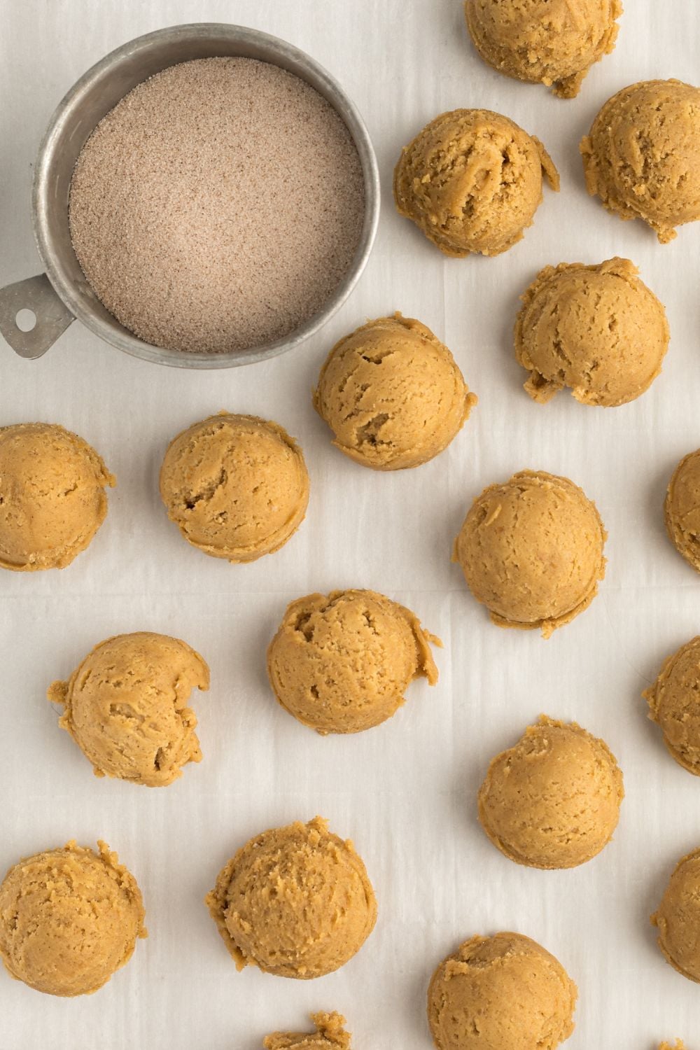 rolled pumpkin cookie with cinnamon sugar to side 